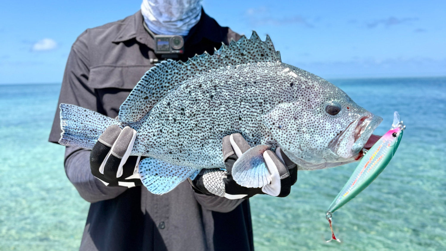 Ben Simmons fish with Cavy Salty Passion. Holding rare large fish by the ocean with clear blue water and sky.